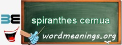 WordMeaning blackboard for spiranthes cernua